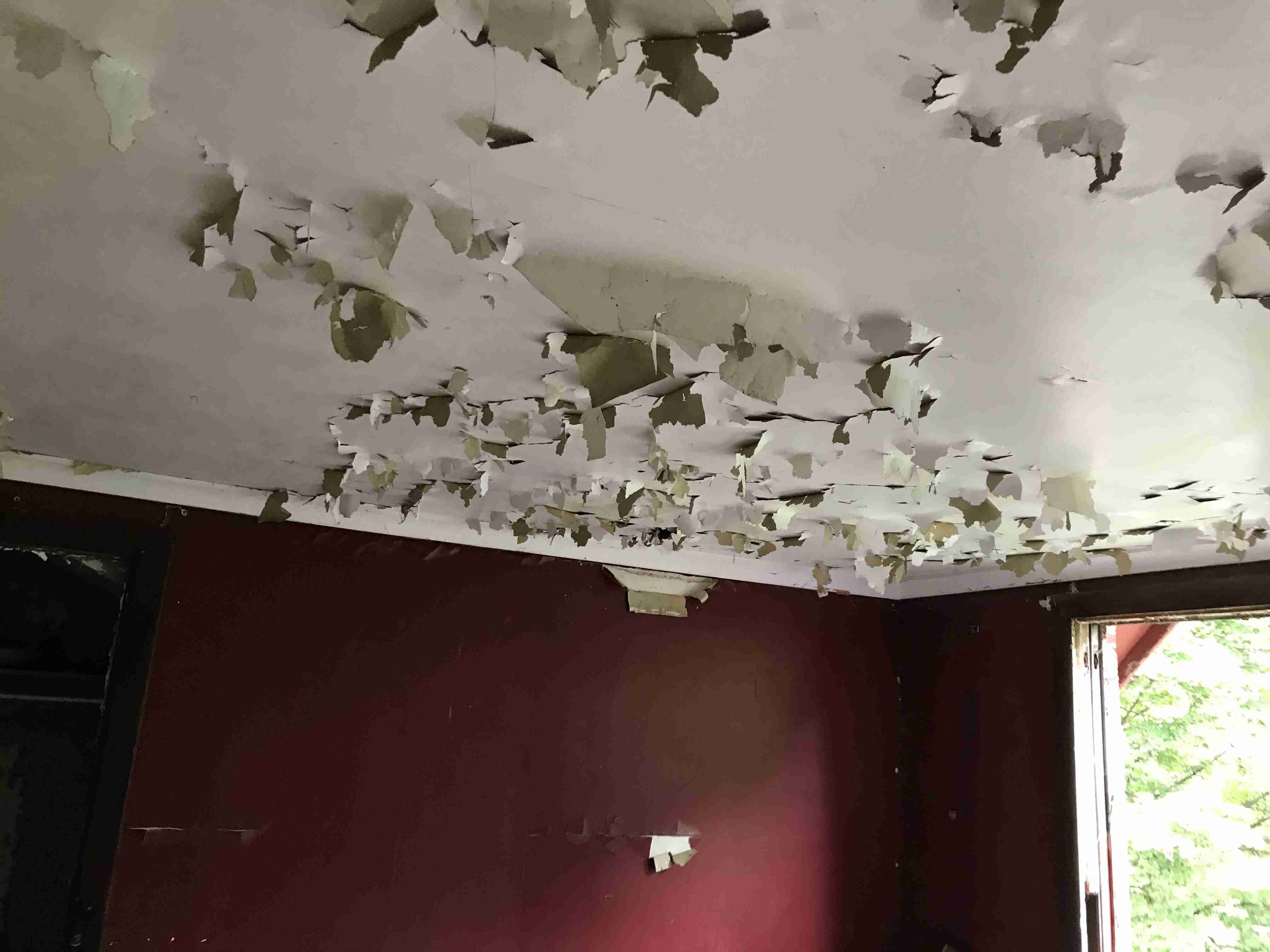 Photo Sep 10, 2 11 34 PM.jpg